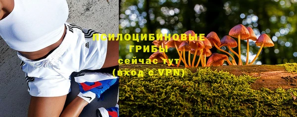 дмт Балабаново