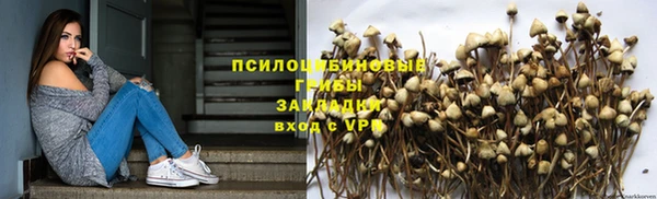 спайс Беломорск